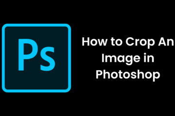 How to Crop An Image in Photoshop