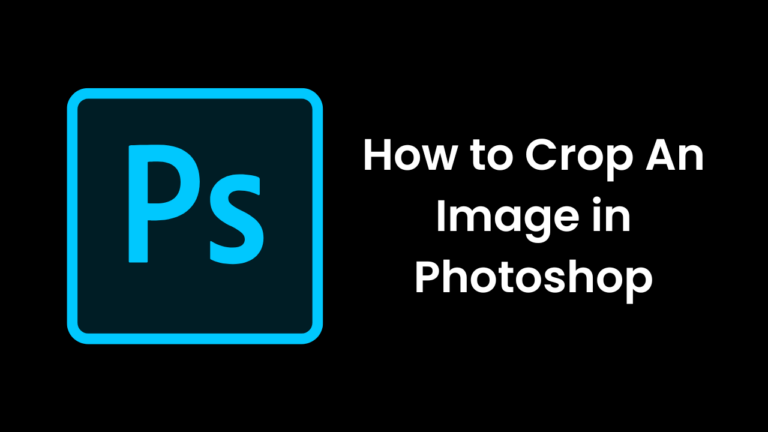 How to Crop An Image in Photoshop [Step By Step Guide]