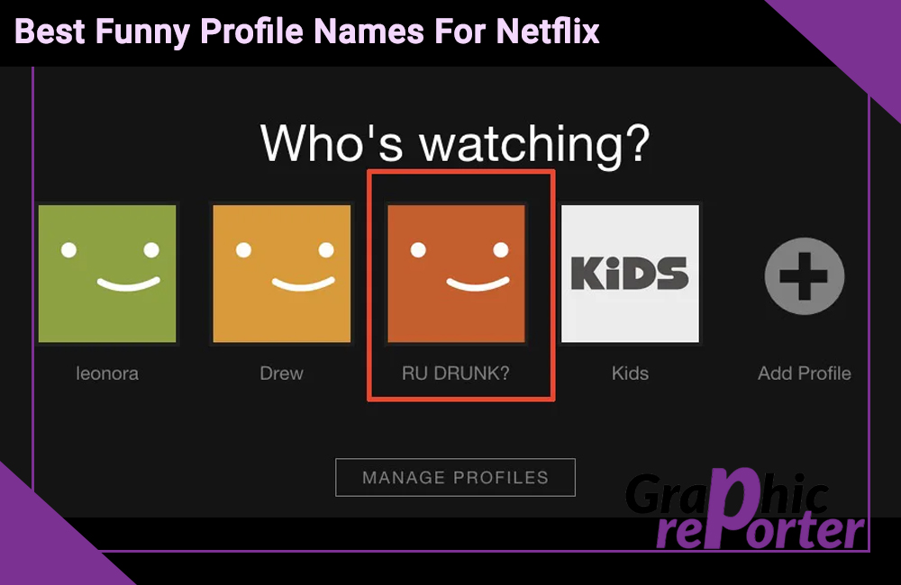 Best Funny Profile Names For Netflix